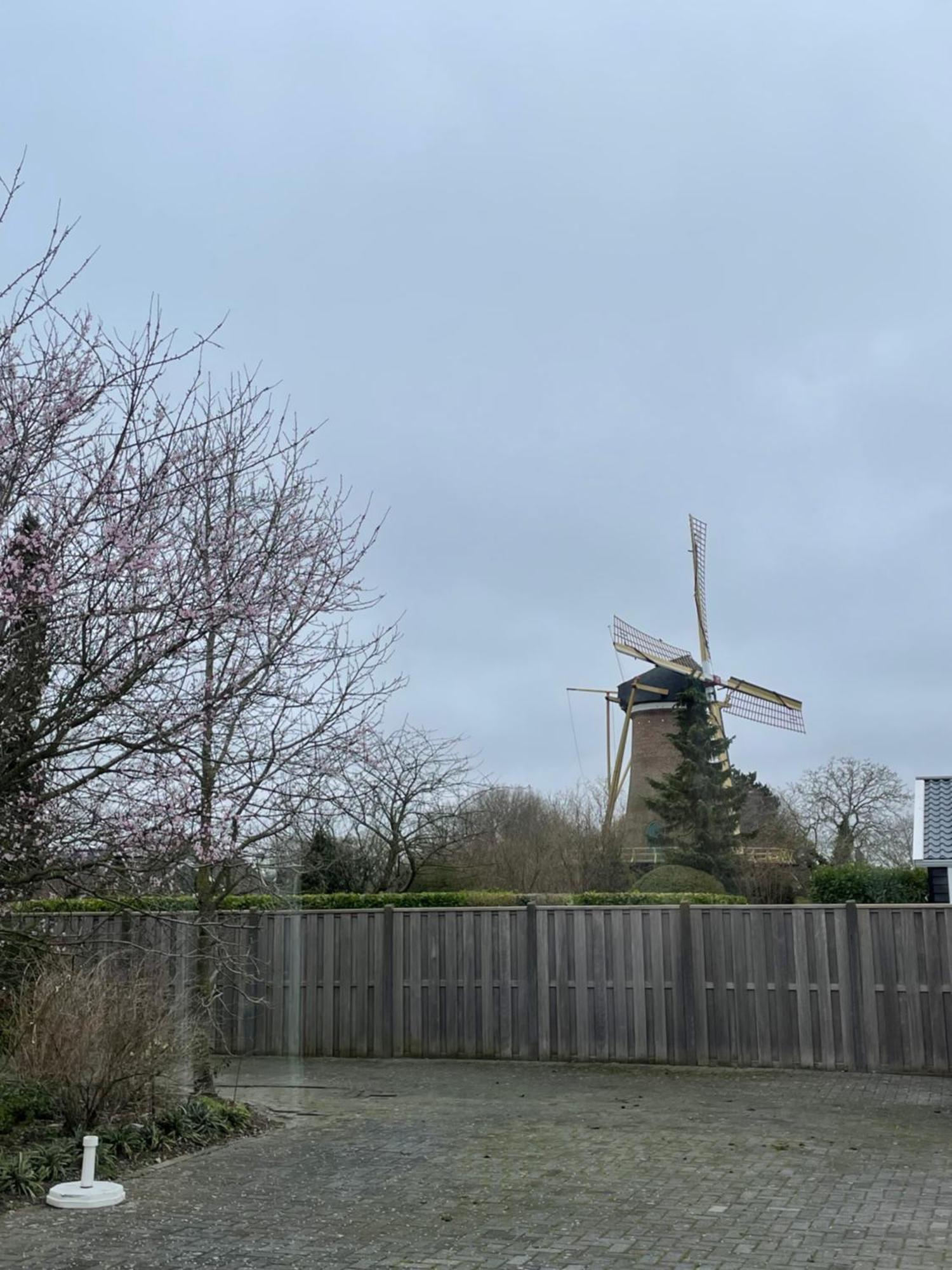 Gastenverblijf Bij De Buuren Dirksland 外观 照片